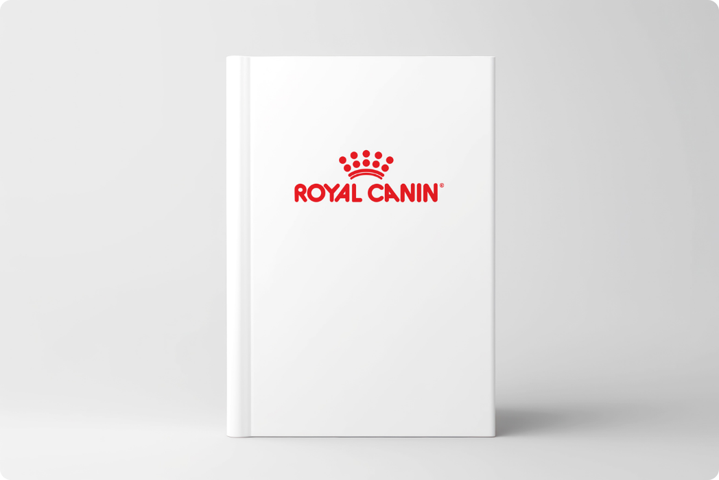 Default Article Image