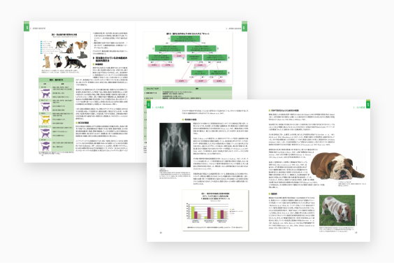 エンサイクロペディアの画像