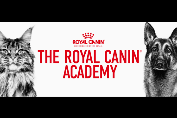 ROYAL CANIN ACADEMYの画像