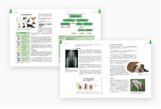 エンサイクロペディアの画像