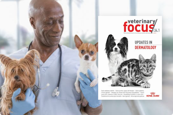 獣医師のための専門誌の画像