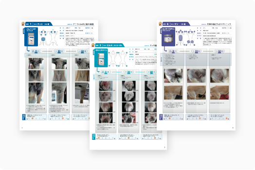 皮膚疾患の画像