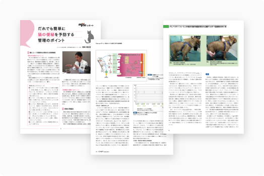 掲載記事・レポート紹介の画像