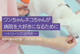 ワンちゃんネコちゃんの画像