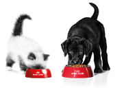 給与ガイドの画像