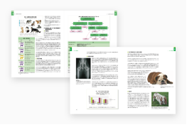 エンサイクロペディアの画像