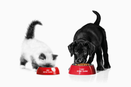 給与ガイドの画像