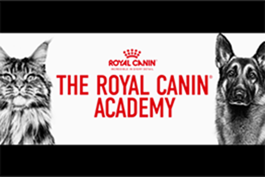 ROYAL CANIN ACADEMYの画像