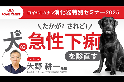 たかが？されど！犬の急性下痢を診直すサムネイル画像