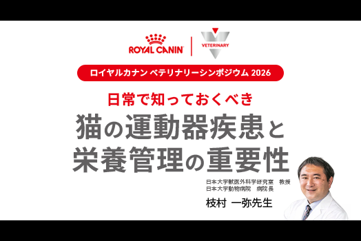 日常で知っておくべき猫の運動器疾患と栄養管理の重要性の画像