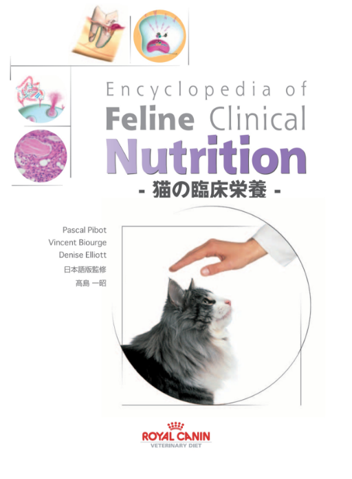 猫の臨床栄養の画像