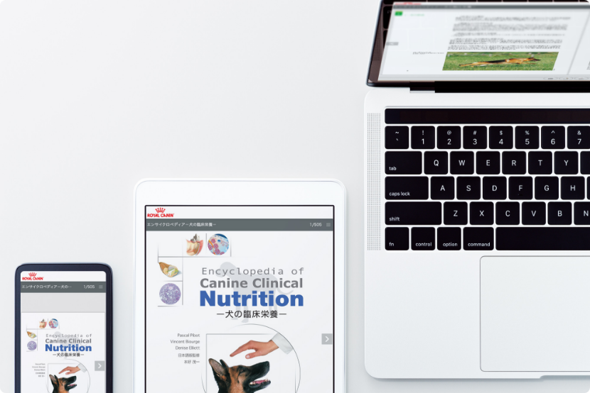 エンサイクロペディアの画像