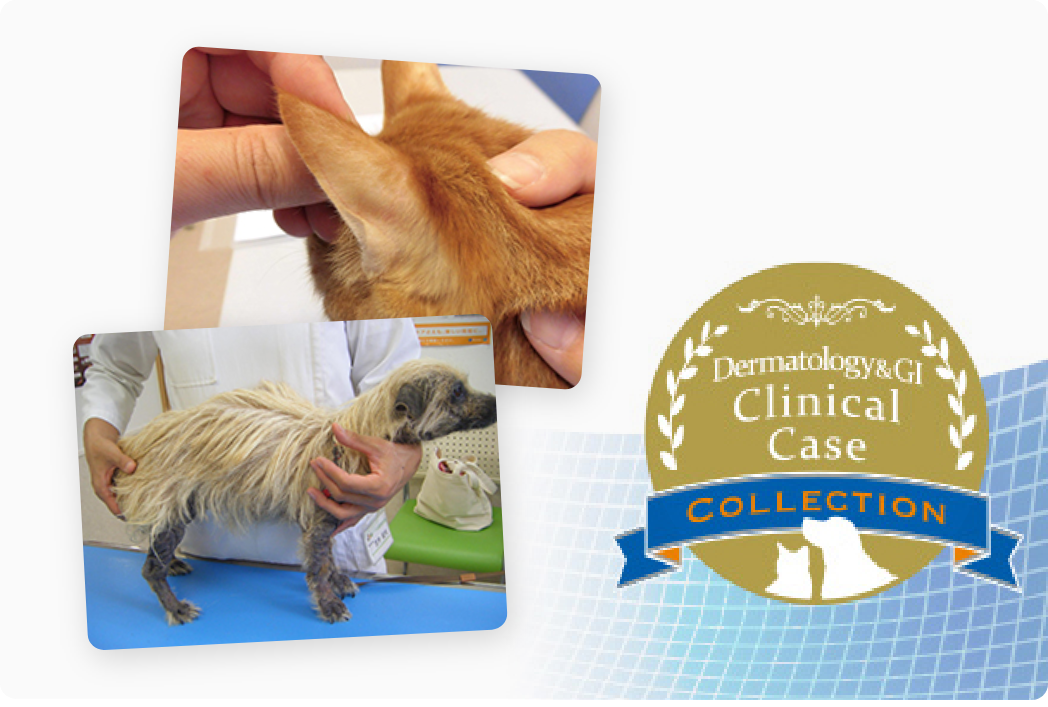 clinicalcaseの画像