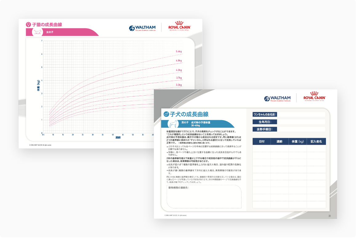 seichou.pngの画像