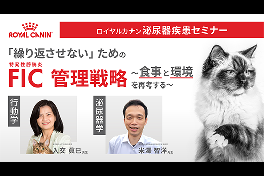 「繰り返させない」ためのFIC管理戦略 〜食事と環境を再考する〜の画像