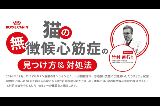 猫の無兆候心筋症の見つけ方と対処法セミナーサムネイル画像