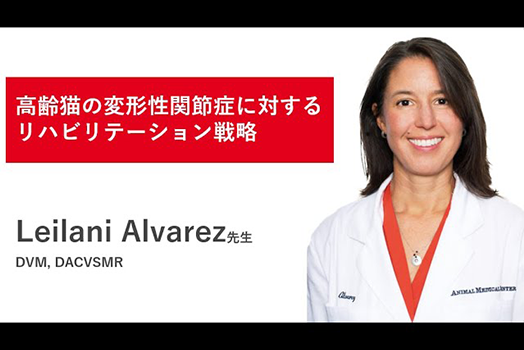 高齢猫の変形性関節症に対するリハビリテーション戦略サムネイル画像