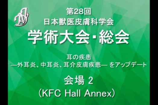 犬の外耳炎治療における栄養療法の有効活用の画像