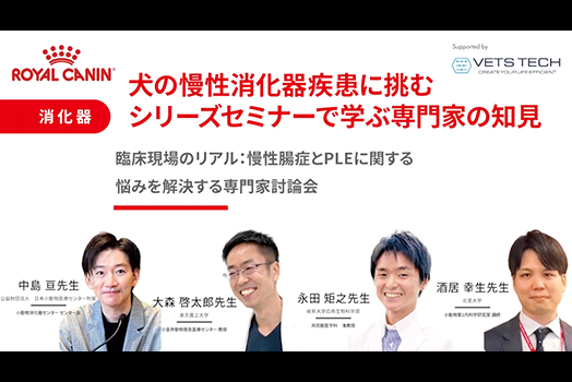 ロイヤルカナン慢性消化器疾患シリーズセミナーサムネイル画像
