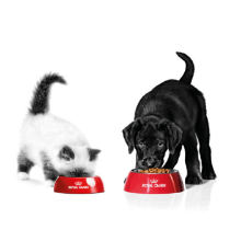 製品を使うの画像