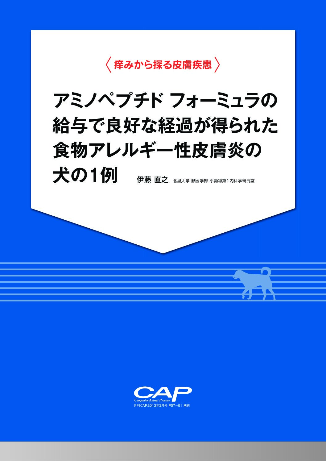 「CAP」2013年3月号