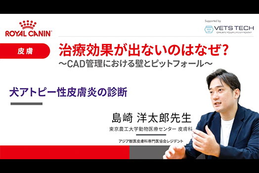 NO.1 島崎先生『犬アトピー性皮膚炎の診断』のサムネイル画像