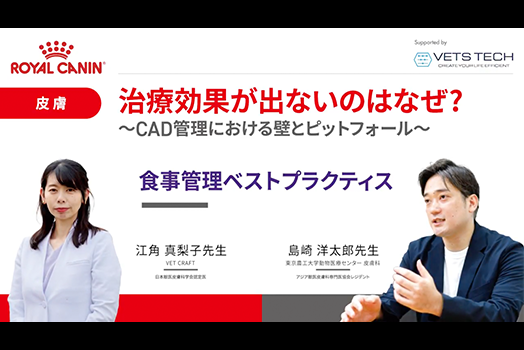 NO.3 江角先生・島崎先生『食事管理ベストプラクティス』のサムネイル画像