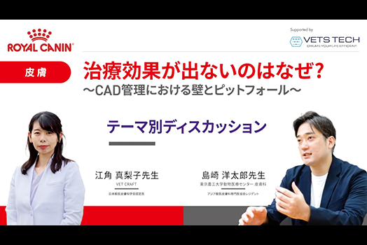 NO.4 江角先生・島崎先生『テーマ別ディスカッション』のサムネイル画像