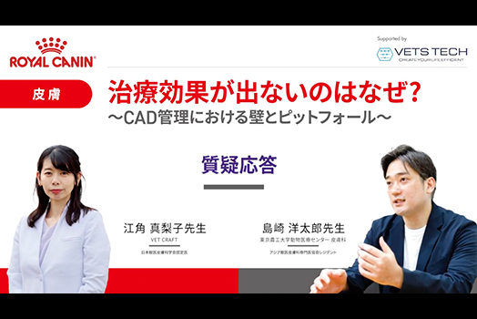 NO.5 江角先生・島崎先生『質疑応答』のサムネイル画像