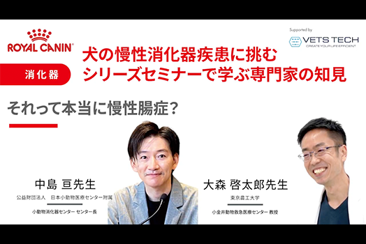 NO.1 中島先生・大森先生『それって本当に慢性腸症？〜診断プロセスにおける思考と技巧を身につける〜』のサムネイル画像