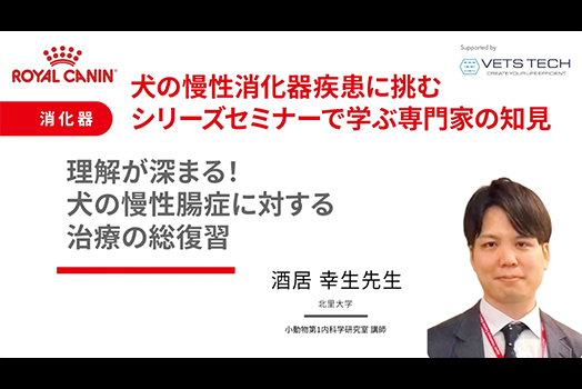 NO.2 酒居先生『理解が深まる！犬の慢性腸症に対する治療の総集編』のサムネイル画像