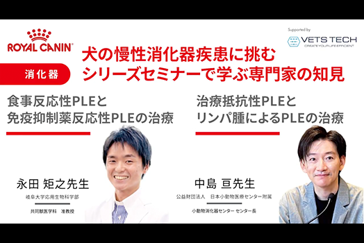 NO.3 永田先生『食事反応性PLEと免疫抑制薬反応性PLEの治療』・中島先生『治療抵抗性PLEとリンパ腫によるPLEの治療』のサムネイル画像