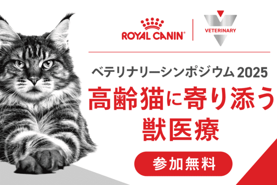 ベテリナリーシンポジウム2025の画像