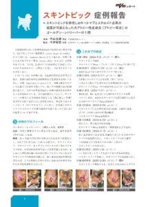 スキントピック症例報告の画像