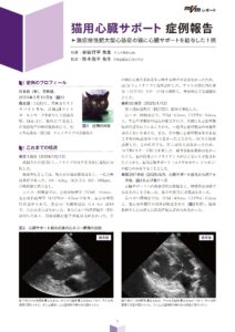 「mVmレポート」2025年10月号