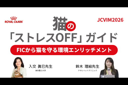 猫の「ストレスOFF」ガイド：FICから猫を守る環境エンリッチメントの画像