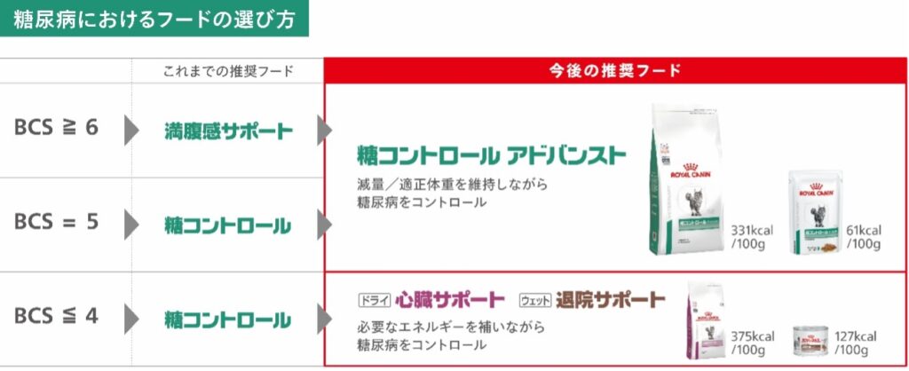 猫の糖尿病におけるフードの選び方