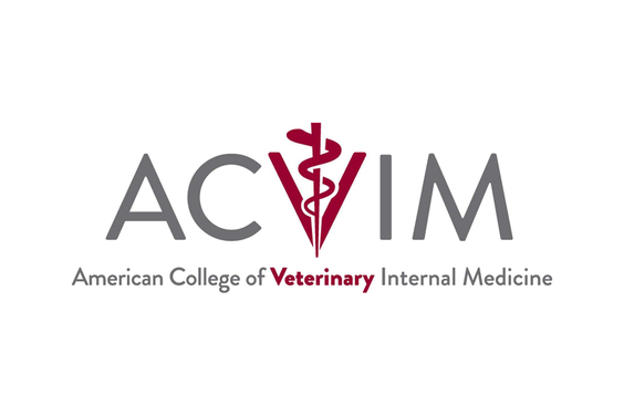 img_acvim