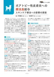 「mVm」2026年7月号