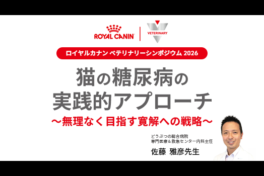 佐藤雅彦先生